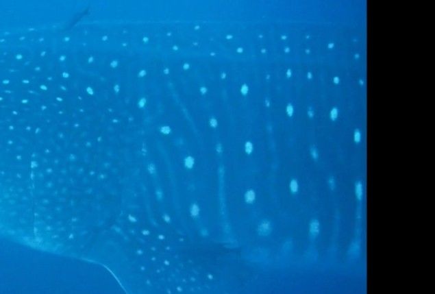 9f98fe3a-3783-41e8-a0b9-1a3dd22ce04e