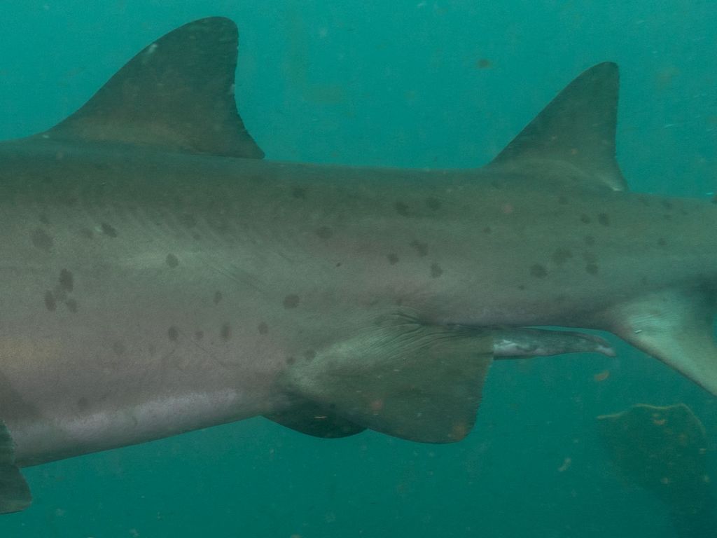 5e4aeee9-2e59-41d7-9d04-567618a14a43