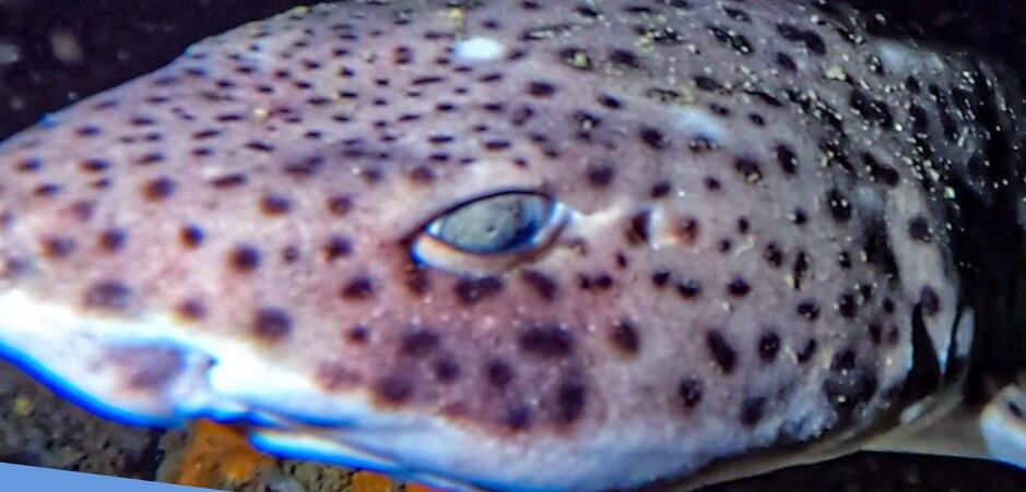 82bad25f-9789-43f6-aad5-9617ca4b2144