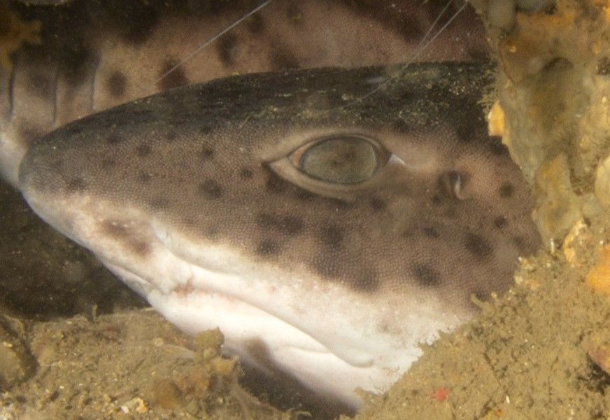 248fcec3-14d2-43b7-b909-407cb3dda696