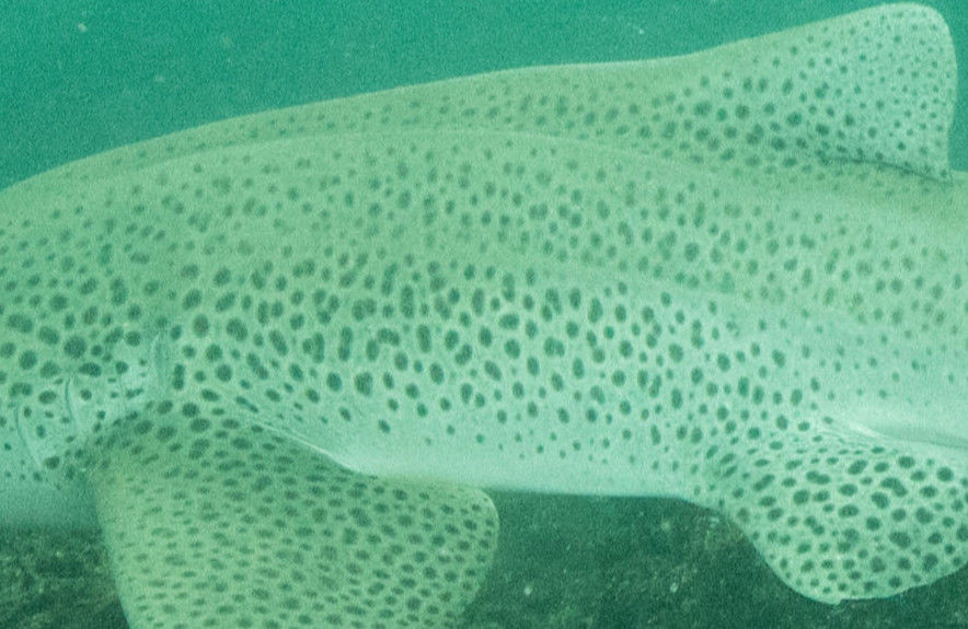 73d6acec-d1fd-4c93-b6b9-253c0740af28