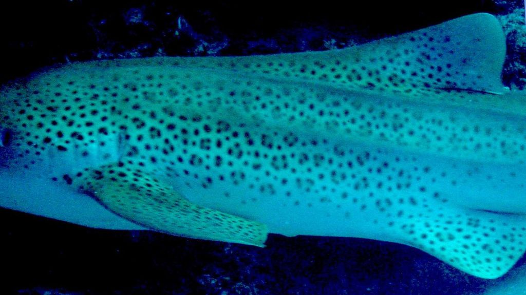 d7099c58-b9b1-473b-80c9-98400815c549