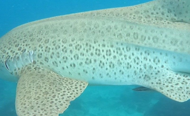 91d8c63d-643f-4e25-93c9-c8615568076d