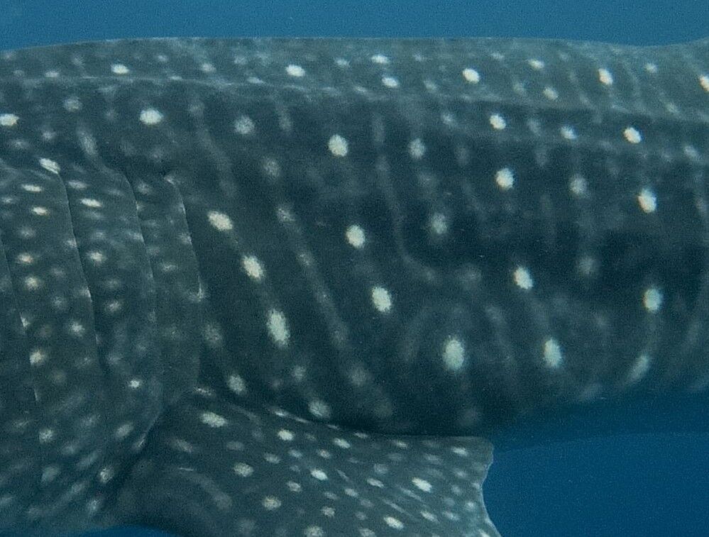 10783895-f875-4e58-9fae-41347ec02fdb