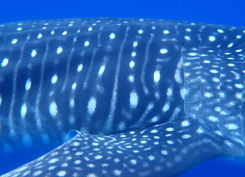 d7d12224-0b91-42cb-9275-c93cfdaa9e63