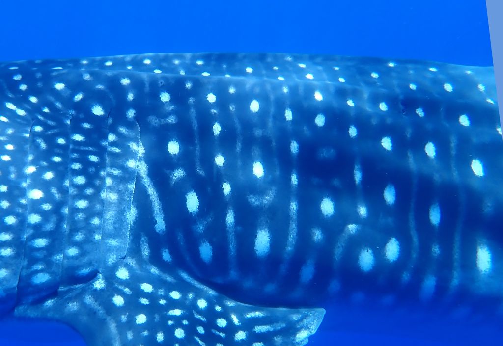 d7d12224-0b91-42cb-9275-c93cfdaa9e63