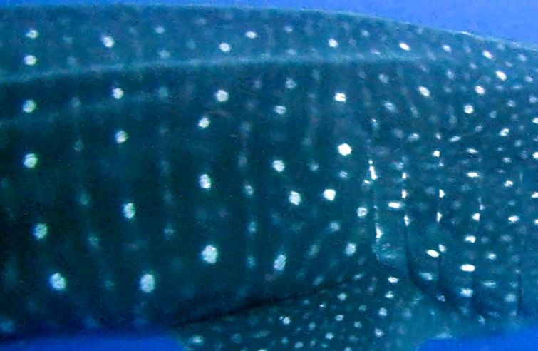 3bc2efb4-e633-4c27-841c-0e349c712469