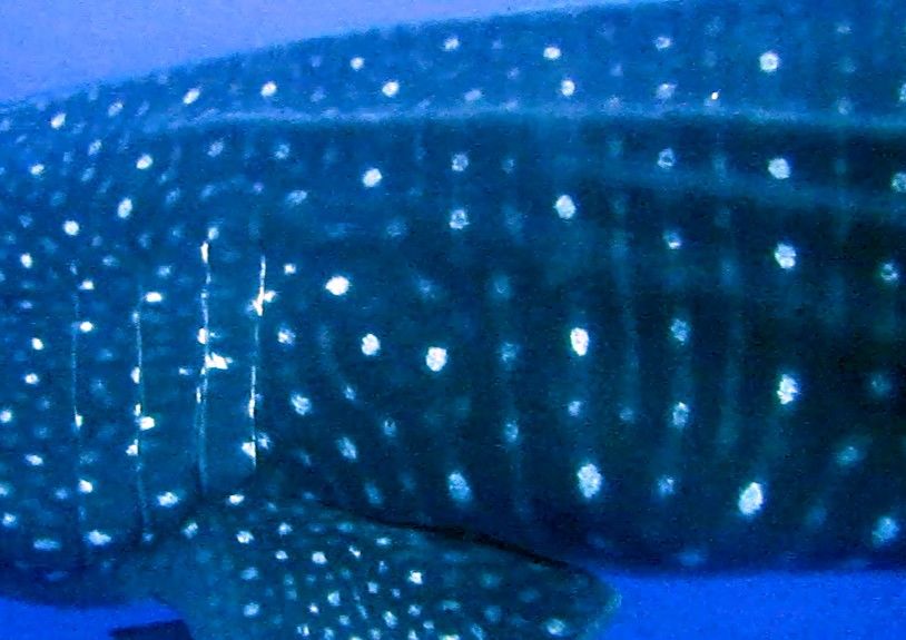 3bc2efb4-e633-4c27-841c-0e349c712469