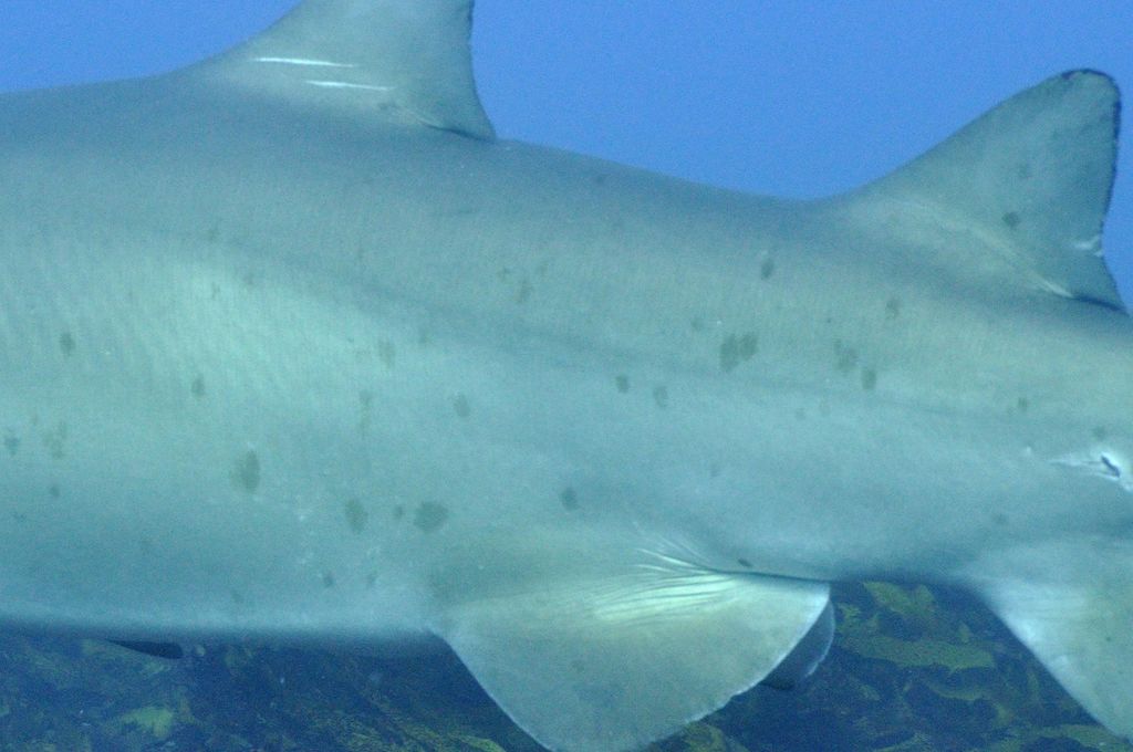 4a8054e3-15f8-4080-8b5d-3beba6099c05