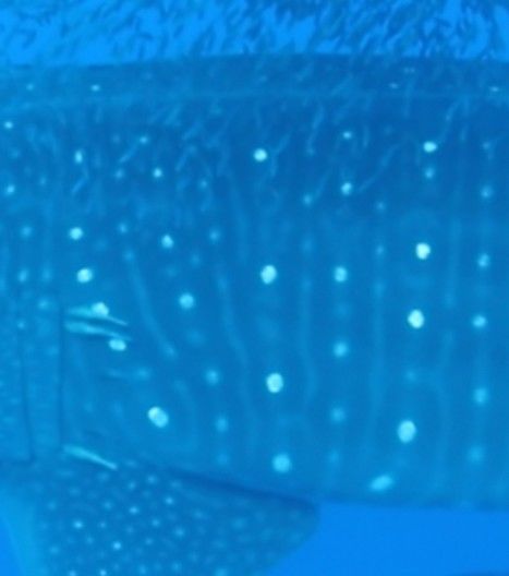 bf582b48-75d9-44cd-8efa-15b3a1f3e8e9