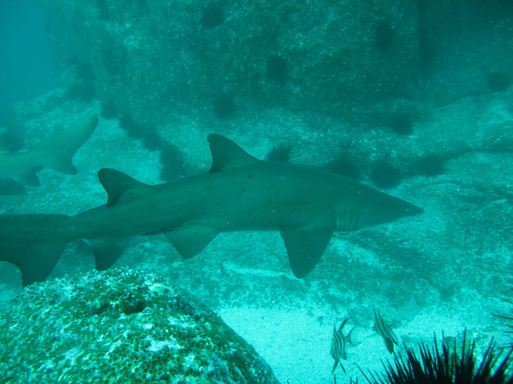 976db352-6197-45dc-9e08-c5b7598cf411