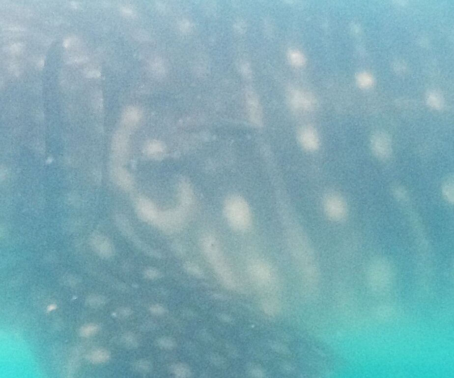 f14ca5a3-8451-421e-bd20-26cd4caa7f78