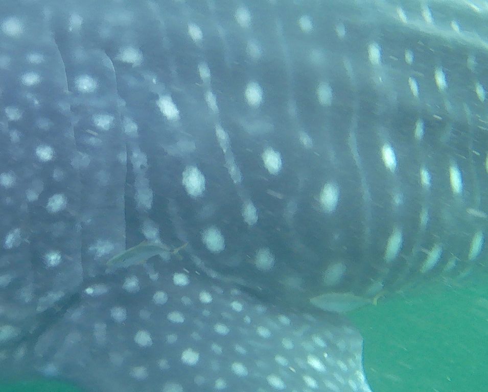 cbb6e20a-a2d7-4c0c-8f51-7bf6e00b6c8b