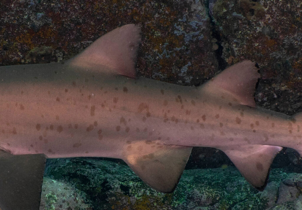 3f19b0f7-4ae6-444f-ac56-7112d00cabef