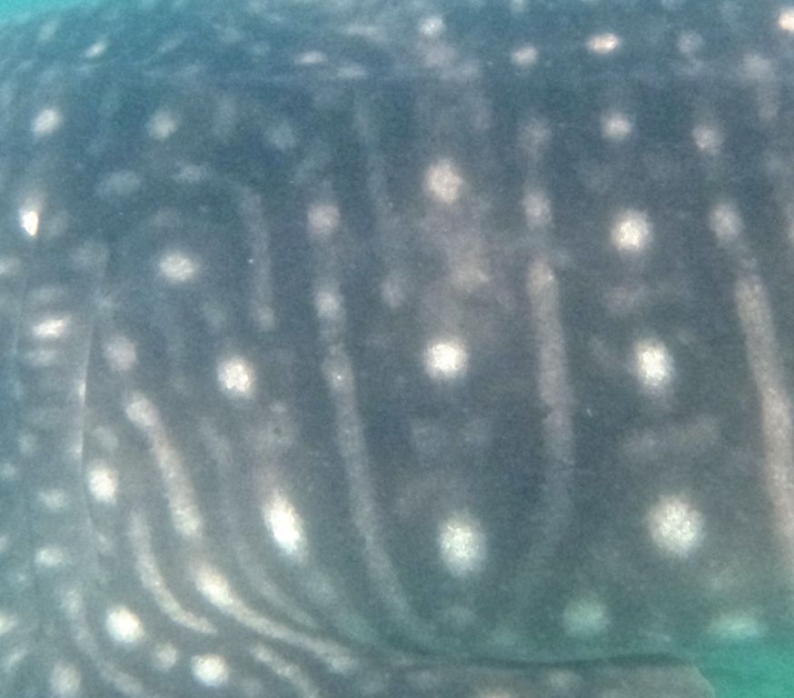 8ec909ee-3f92-4323-97cc-131c59bfcb6f