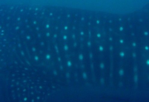 25b8fb8f-8652-4b8b-8697-ff22e0fdefb7