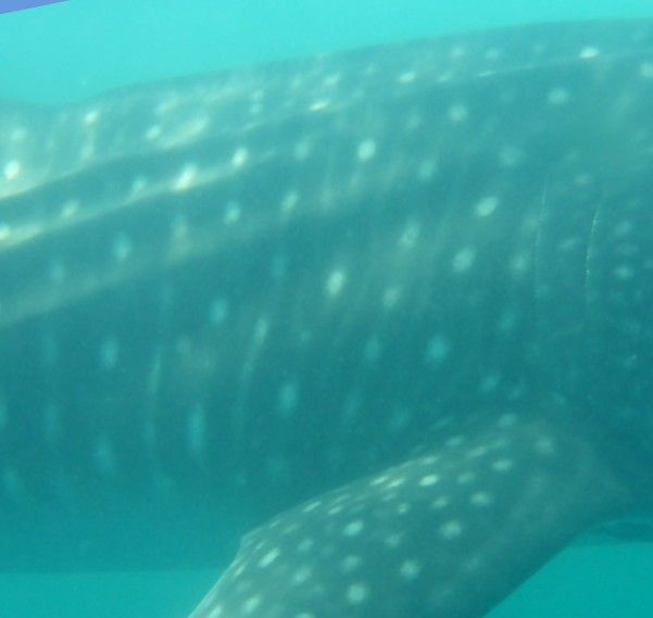 25b8fb8f-8652-4b8b-8697-ff22e0fdefb7