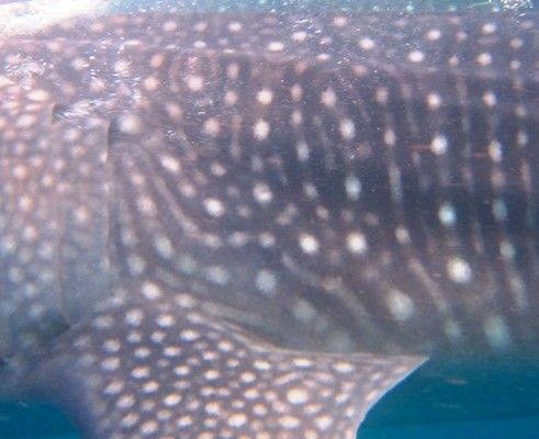 ff227211-b078-49dd-b5aa-040c45a1c6ea