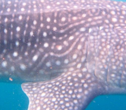 ff227211-b078-49dd-b5aa-040c45a1c6ea