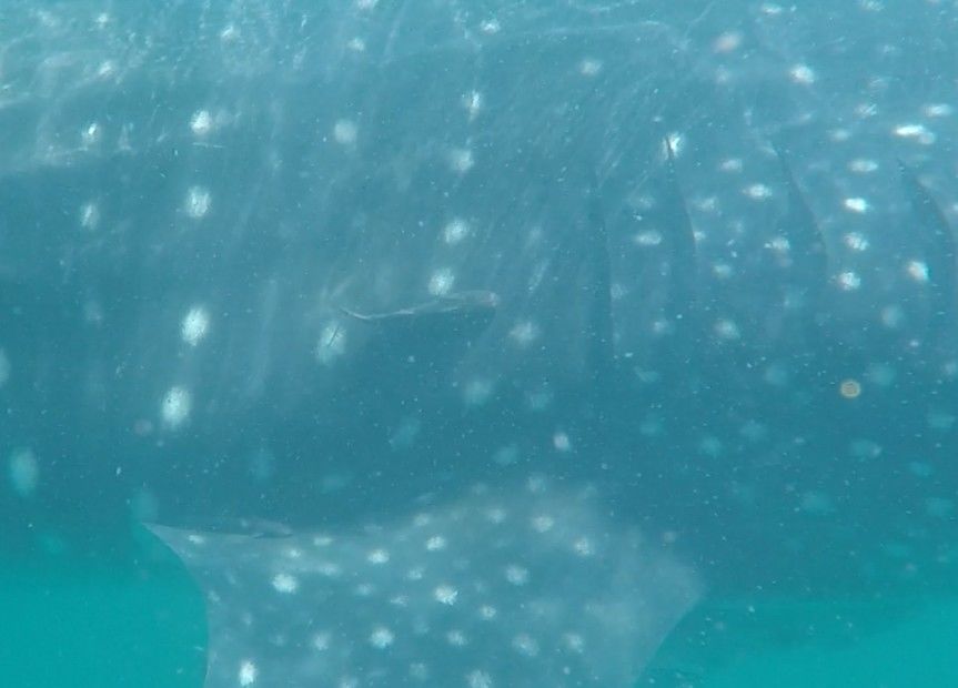 b832d7e0-a805-4e96-a12e-fc8a2cb1f669