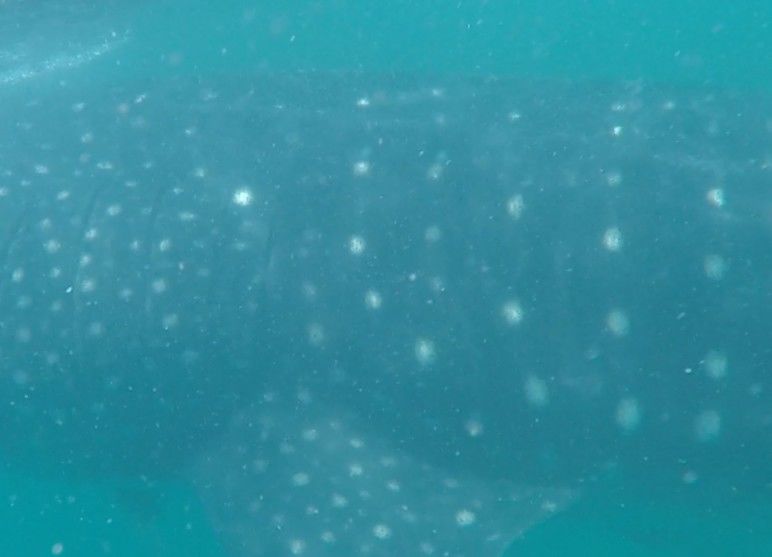 b832d7e0-a805-4e96-a12e-fc8a2cb1f669