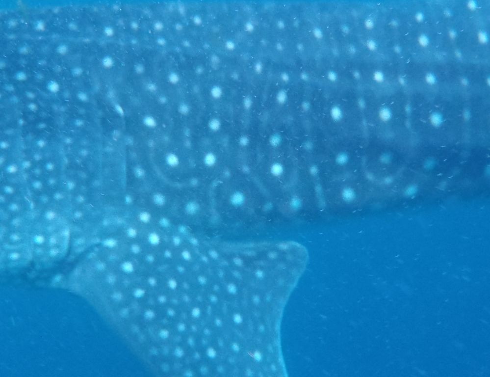 534520a1-6211-4498-b0a3-dfb56c177211