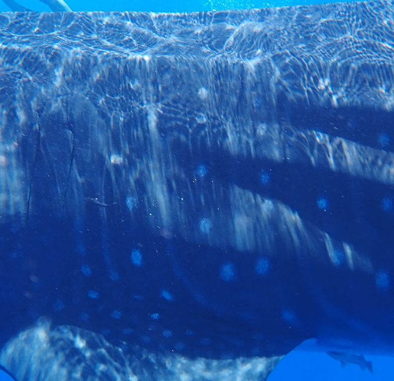 9f0df395-150d-438f-b7d4-2245927360fe