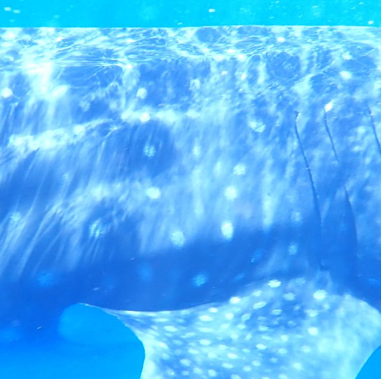 9f0df395-150d-438f-b7d4-2245927360fe