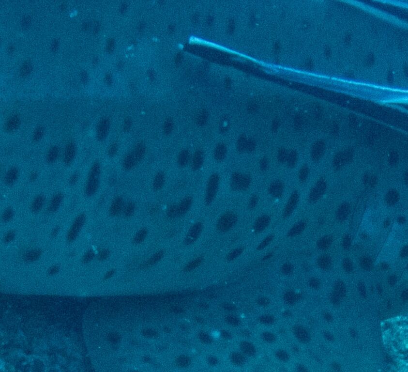 6185804c-ea5f-4d0d-9344-c2a944ca3f13