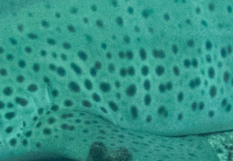 6185804c-ea5f-4d0d-9344-c2a944ca3f13