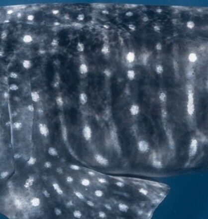 0e79fdc0-a790-48fb-984d-3405b0b74998