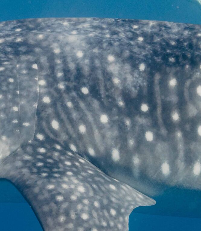 b9b919dd-3361-414c-b804-cf6df54c5012