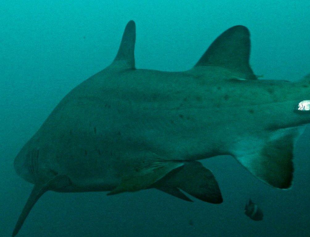 ab53149f-cba2-48af-b804-9e720b9148be