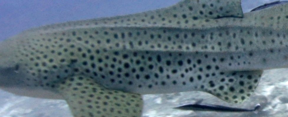 a2563952-ddc4-4076-bf02-ed861fe13b88