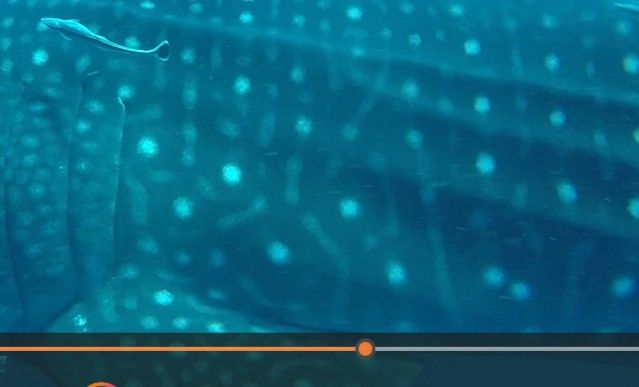 03eef449-52d7-49cc-bca0-9913abfdfd66