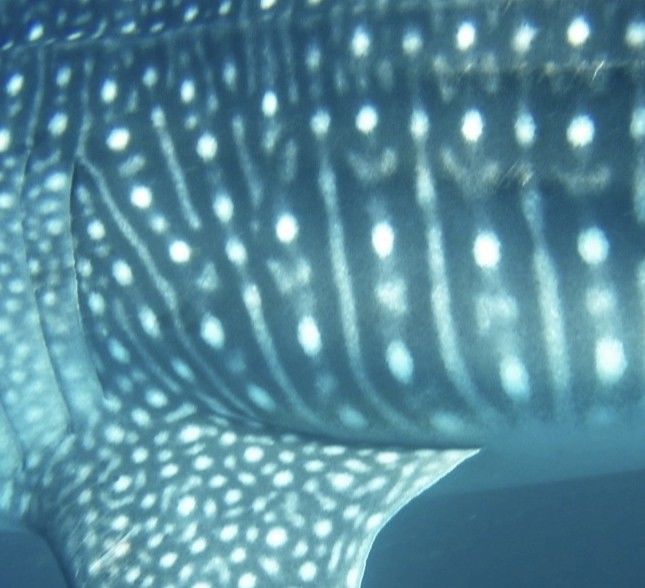 1c6584c0-0dff-4857-b65f-f35ec027cbb4