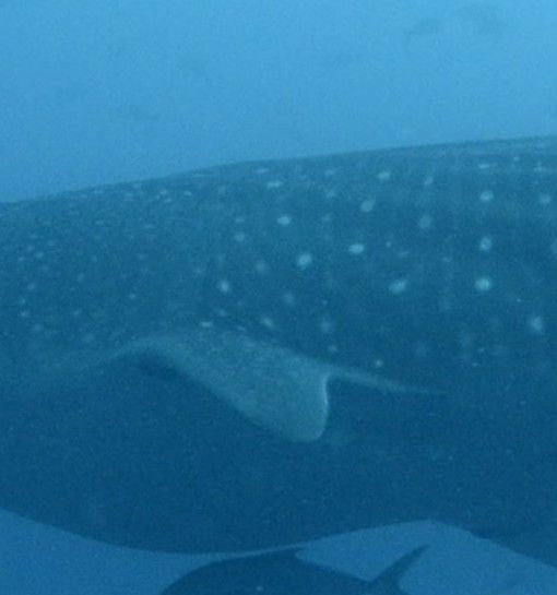 5035dcb9-b2bb-43a6-b9d9-5c179d5e5362