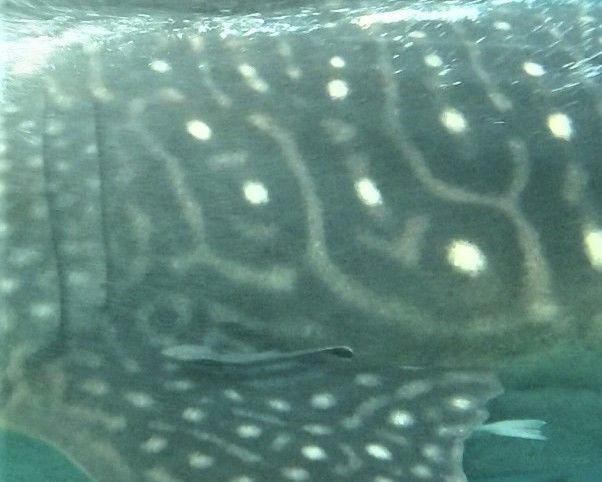 25bd615c-8b63-4042-82a2-12fcdb2dfe38