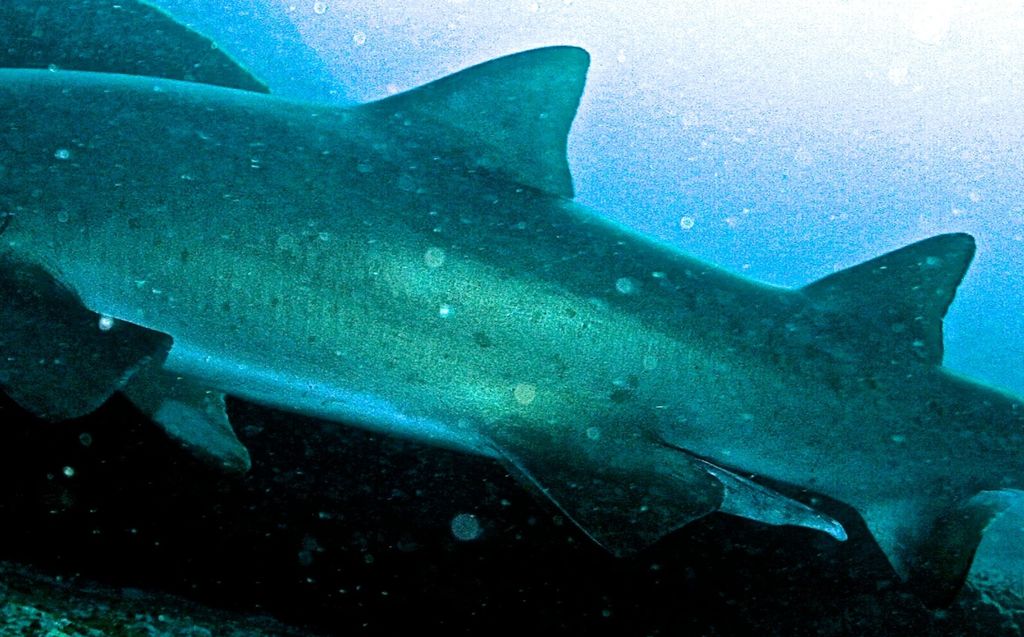 1ad2a907-30e0-48bf-9088-d0a04319bcd0