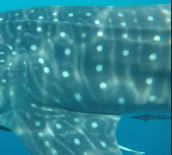 63a432db-1adc-48ed-ae76-c77c35cfd9ec