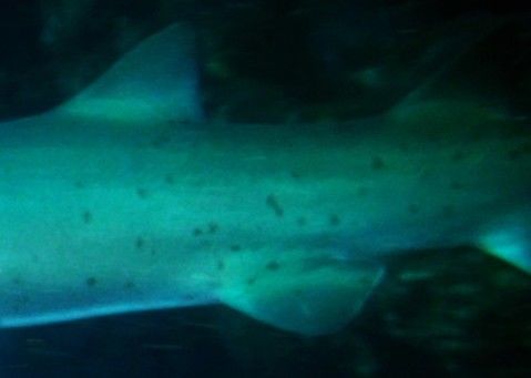 b9f284f8-551c-4363-806a-d49711cf3697