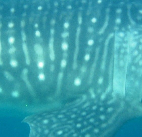 43c43291-96c5-4e91-af70-5a27df9ebdb4