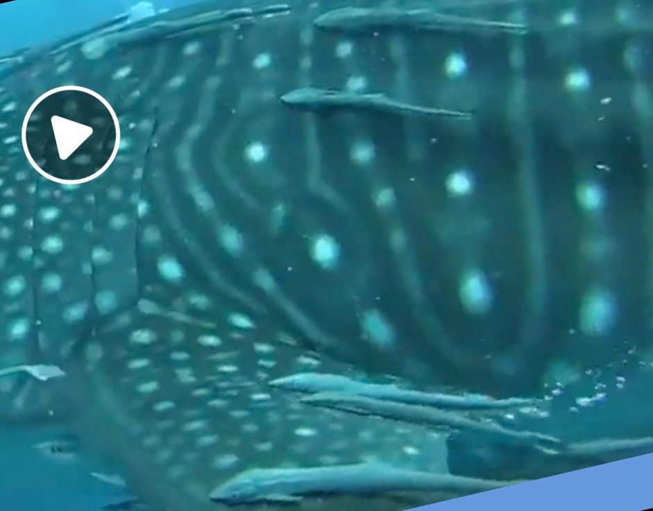 3b550c31-3152-4462-aaa8-76f44a35848d