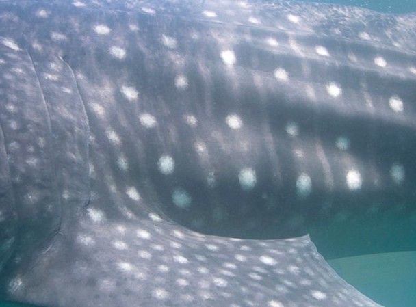 82fe41b9-5178-42c9-ada6-1276fcda2229