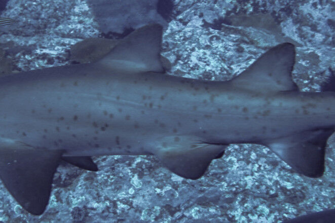 cb4ae037-8e08-4e30-bfdc-a650530797ea