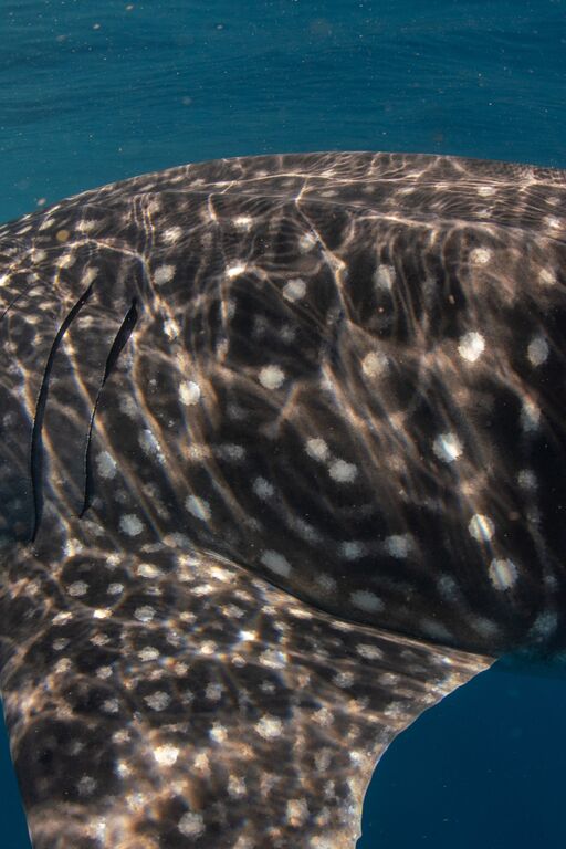 0da840d4-d772-48d2-b5fb-5746b4e85015