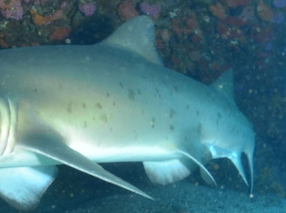 0fc97ede-5f0b-4abc-b32b-7f7374948fa5