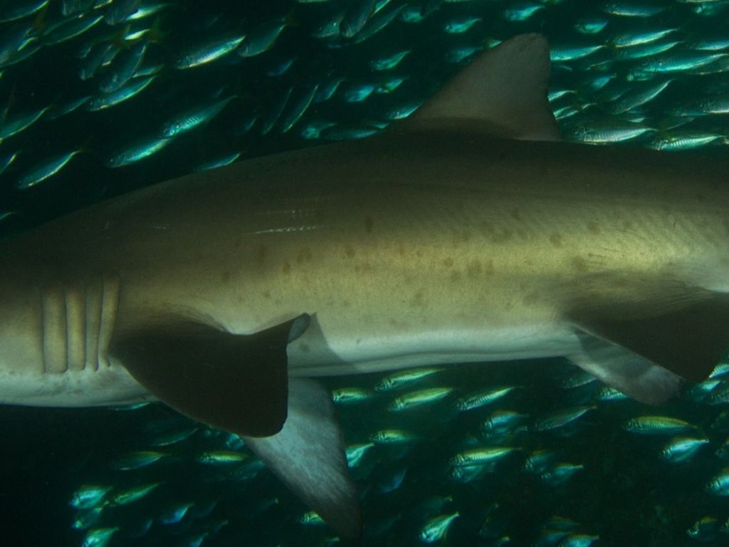 95f6b9e7-eaa1-4be4-a5ee-162bc062a873