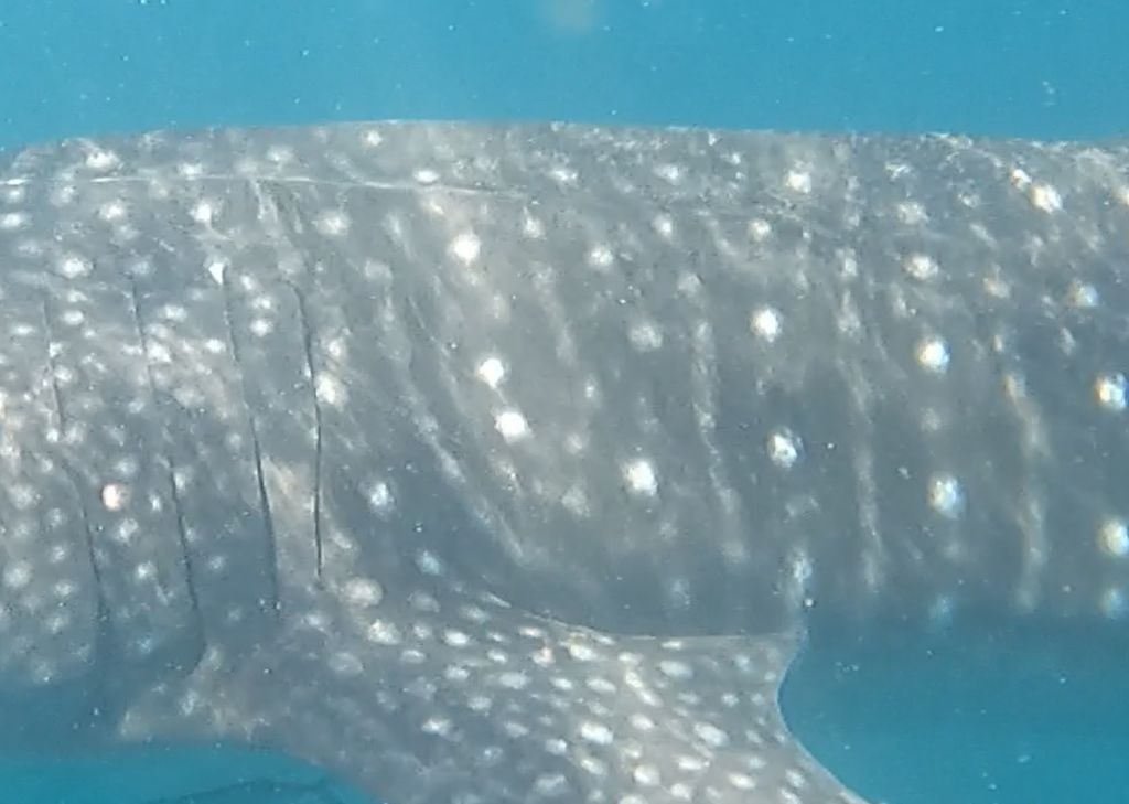 984fa420-b09d-4102-8d1b-dd81f2966cc3