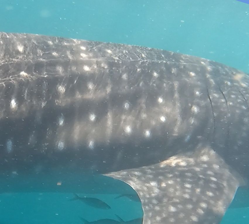 984fa420-b09d-4102-8d1b-dd81f2966cc3